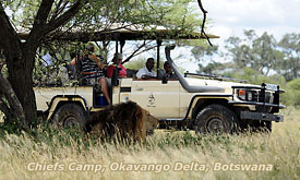 Okavango Delta and Moremi Safaris in Botswana, Chief's Camp,Okavango Delta and Moremi Safari Lodges and Camps