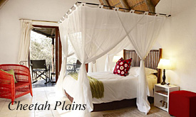 Cheetah Plains Safari Lodge, safari packages from Johannesburg